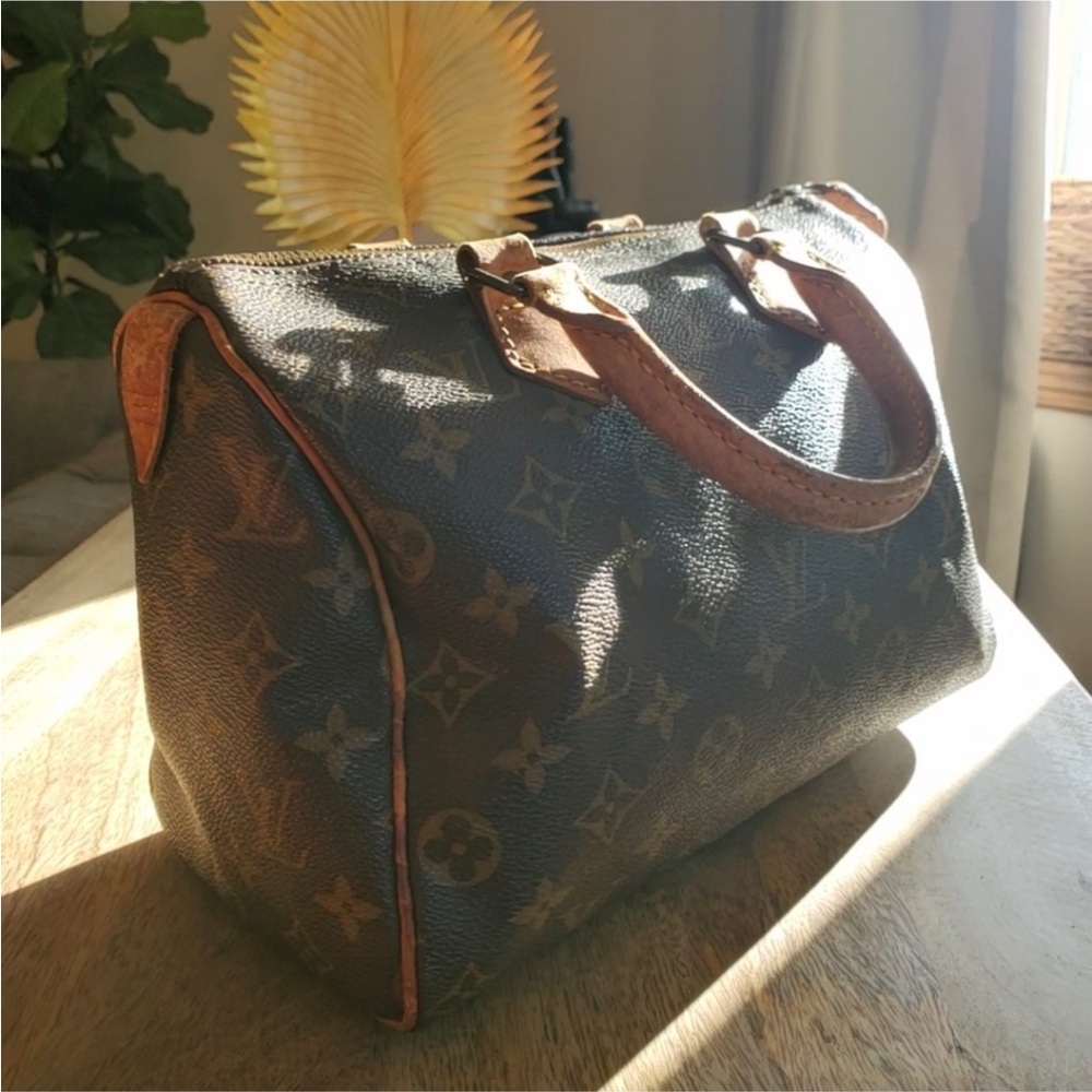 Louis Vuitton speedy 25 monogram top handle